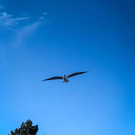 Innenfoerde Holnishof