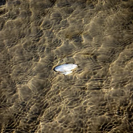 Dom wakacyjny Innenfoerde Holnishof