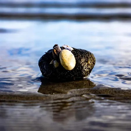 Dom wakacyjny Innenfoerde *